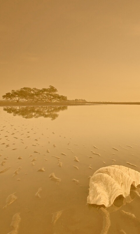Закат на берегу моря обои