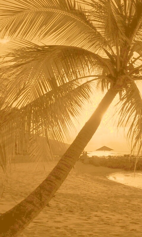 Пляж на закате обои