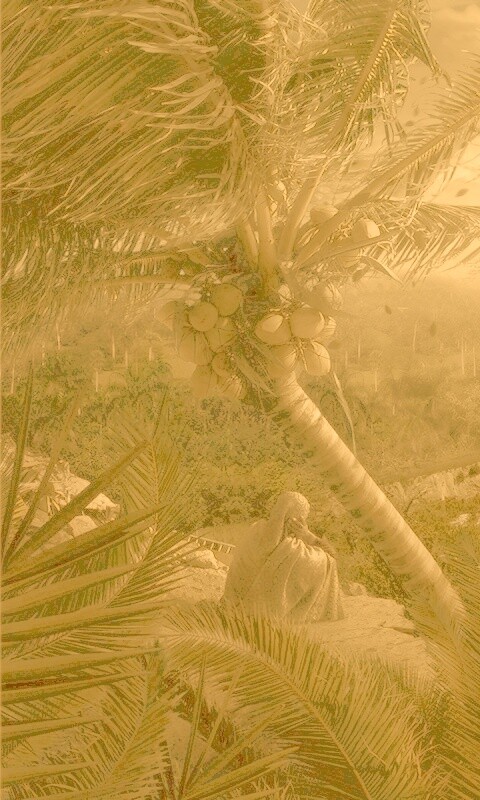 Вид на джунгли обои