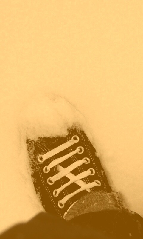 Дурак зимой в кедах обои