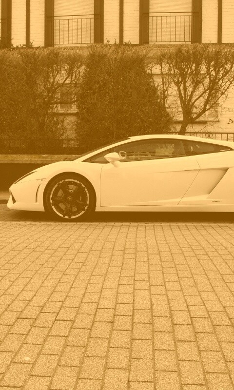Белый Lamborghini обои