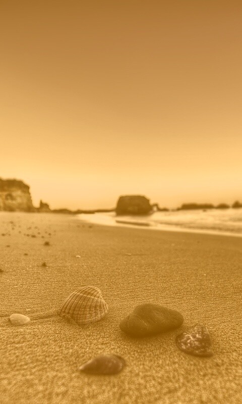 Океанский берег обои