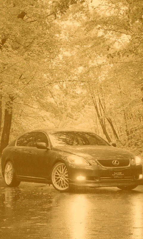 Лексус на лесной дороге обои