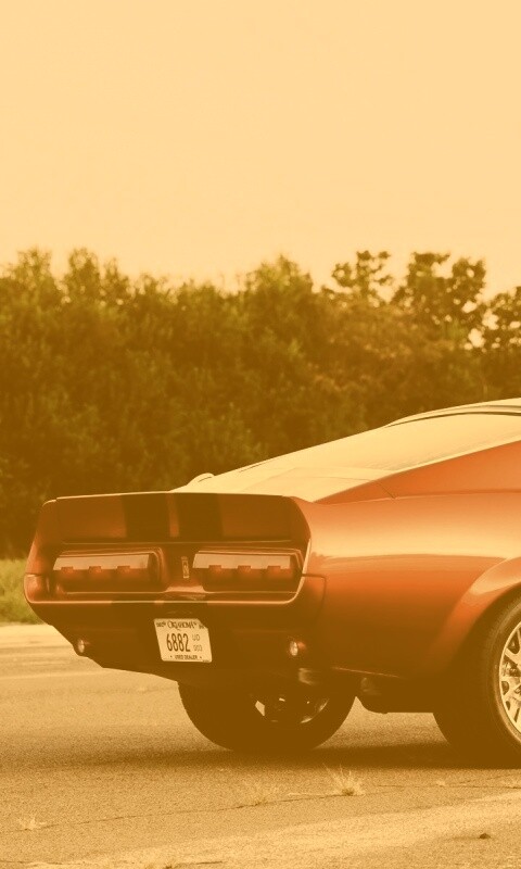 Shelby GT500 CR обои