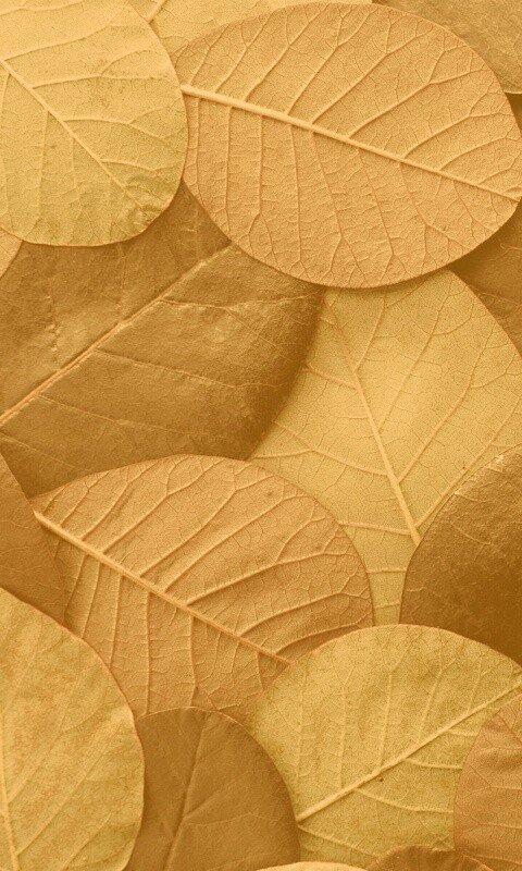 Лиственный узор обои