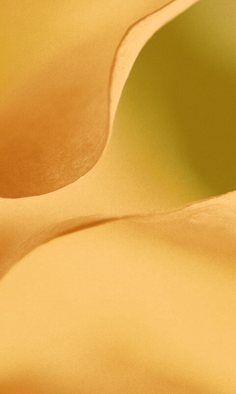 Оттенки природы обои