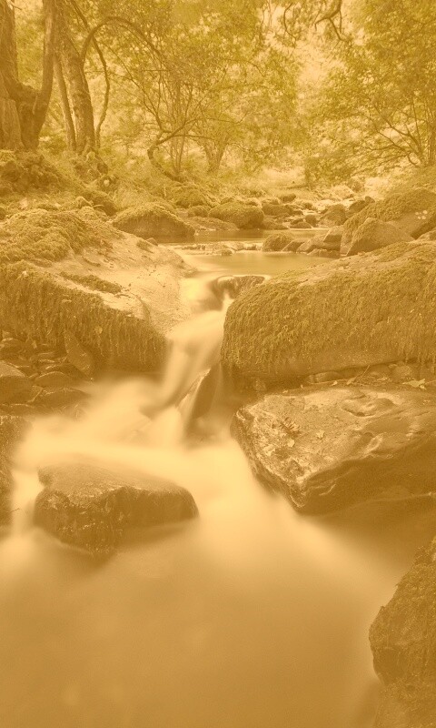 Речной поток в лесу обои