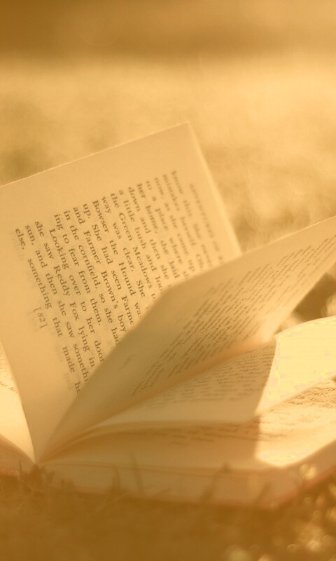 Книга в нежном свете обои