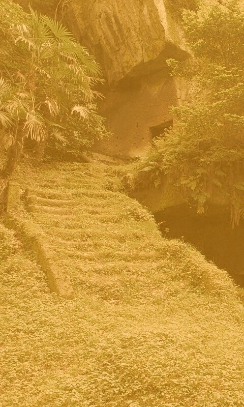 Старинный лесной храм обои