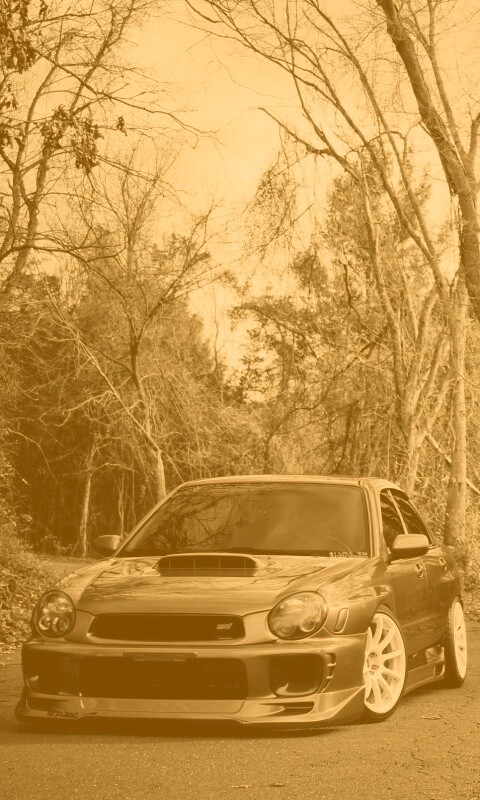 Субару Импреза на лесной дороге обои