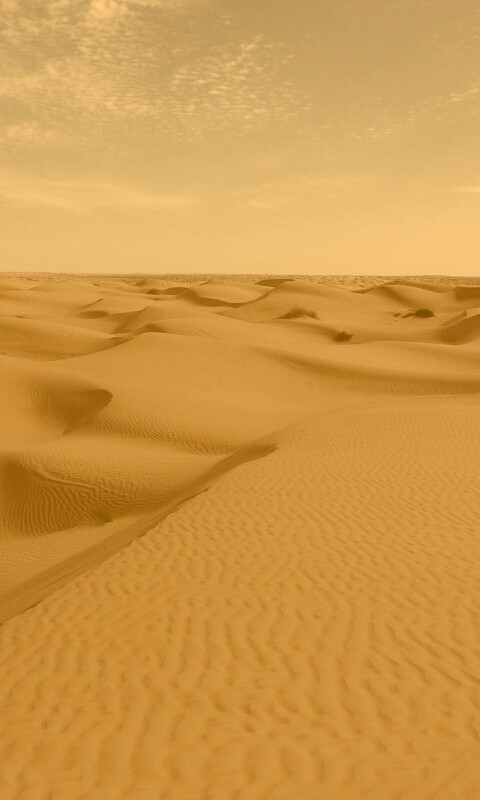 Пустыня до самого горизонта обои