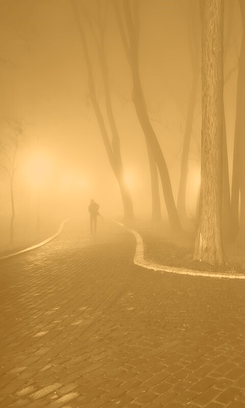 Пустынный лабиринт парковых дорожек обои