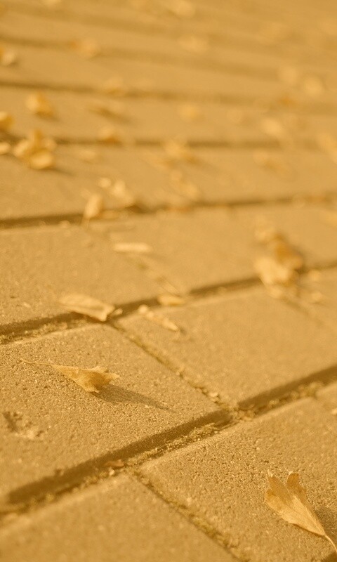 Тротуар обои