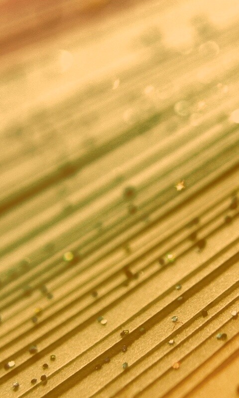 Рассыпавшийся бисер обои