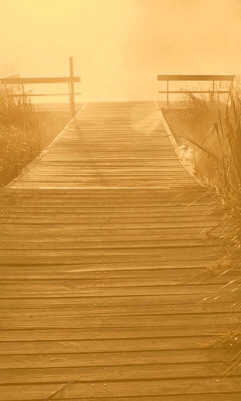 Выход к реке обои