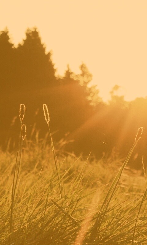 Красота природы обои