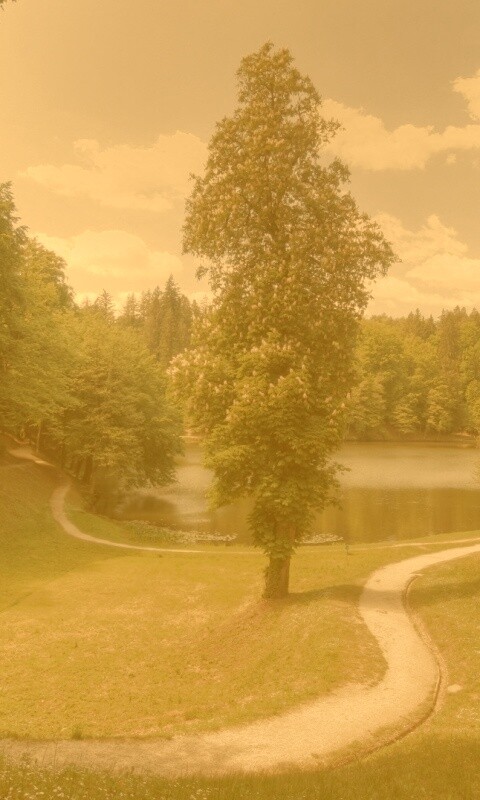 Прекрасная природа обои