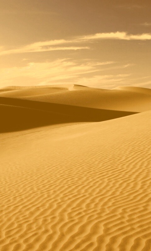 Пустыня Сахара обои