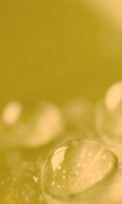 Зеленые капли росы обои