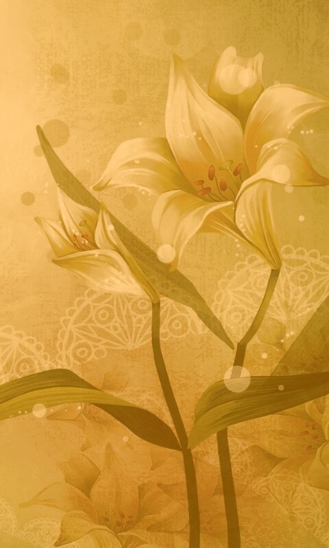 Красивое изображение лилии обои