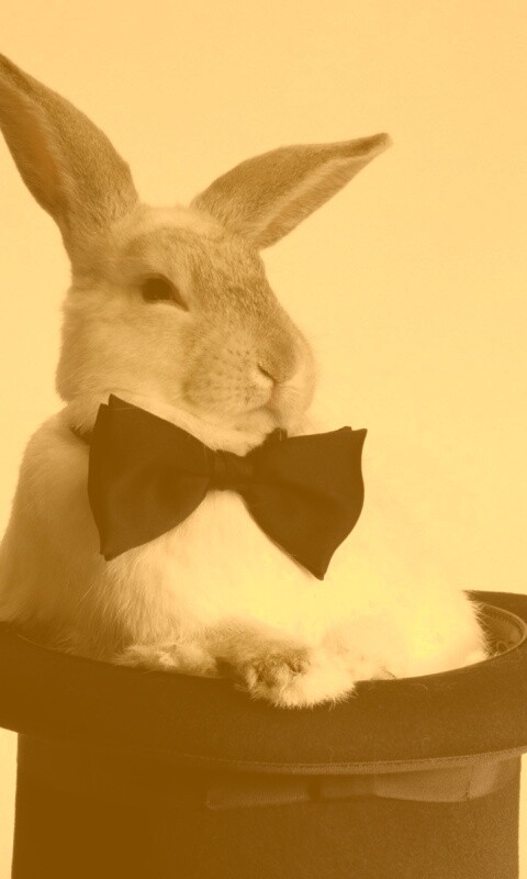 Кролик в цилиндре фокусника обои