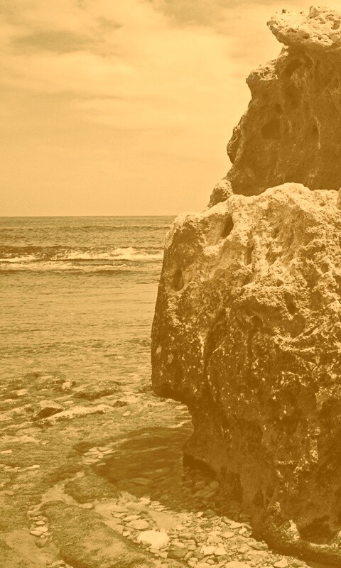 Коралловый риф обои