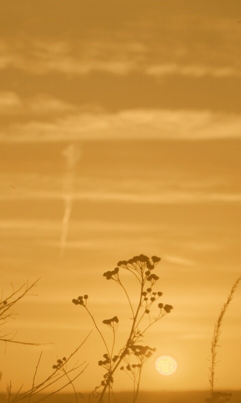 Степной закат обои