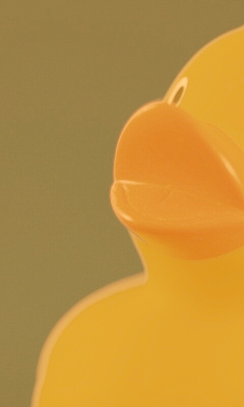 Резиновый утенок обои