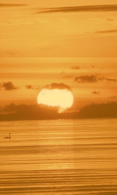 Великолепный рассвет обои