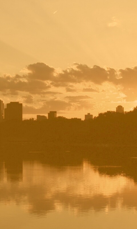 Закат над городом обои