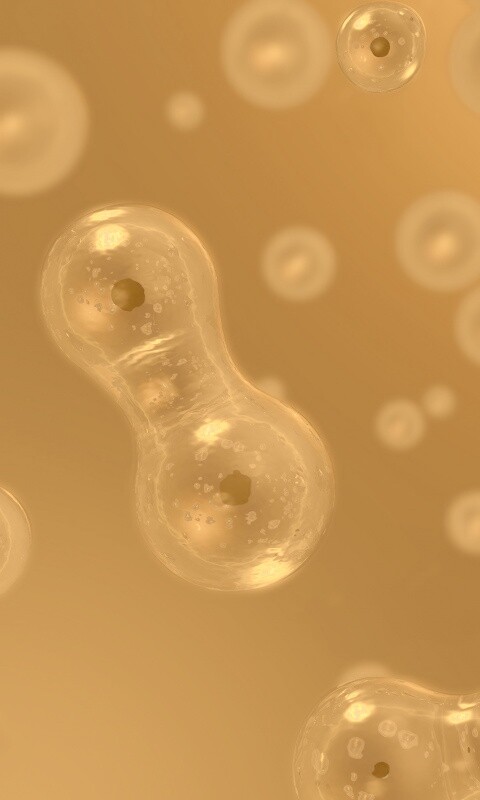 Деление обои