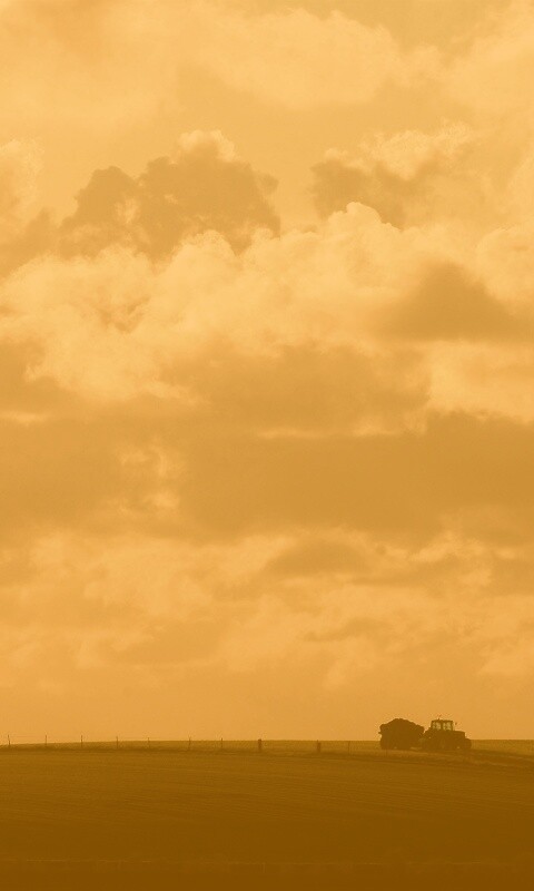 Прекрасный день обои