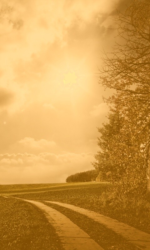 Солнечные холмы обои