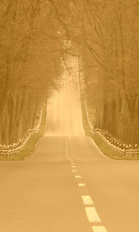 Дорога уходит ввысь обои