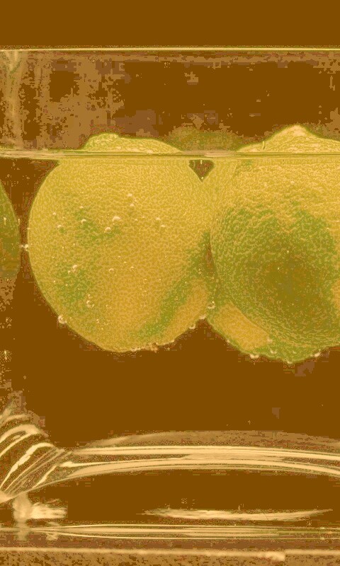 Лайм в стакане обои