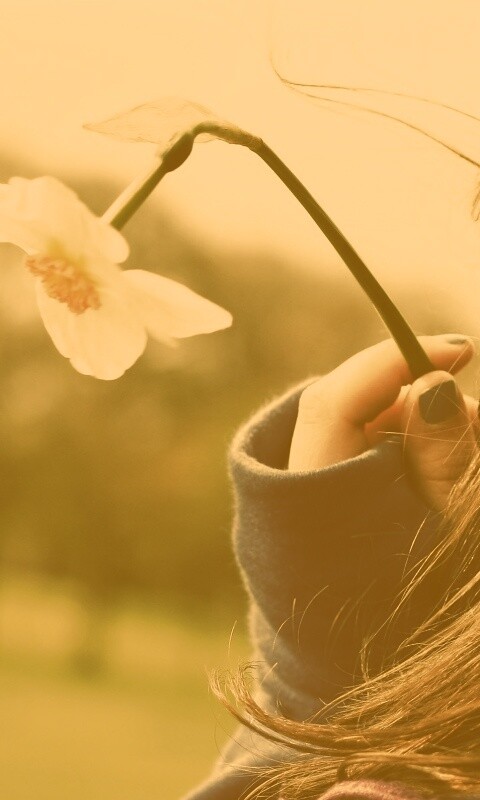 Девушка с нарциссом в руке обои