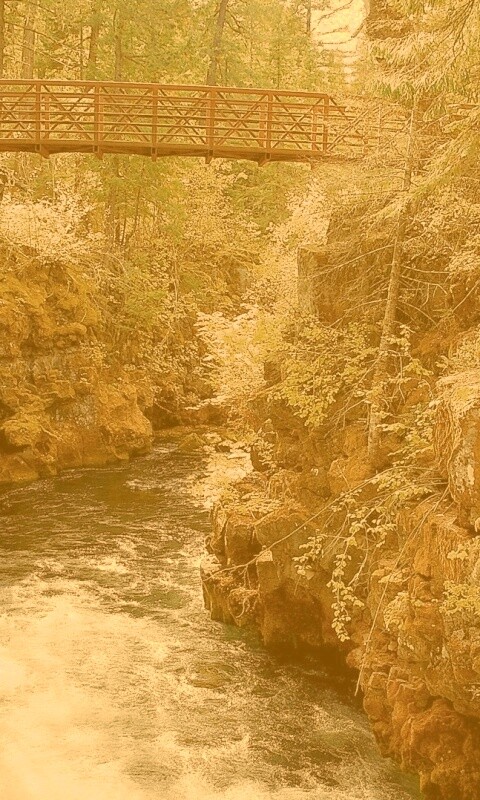 Мостик через реку в лесу обои