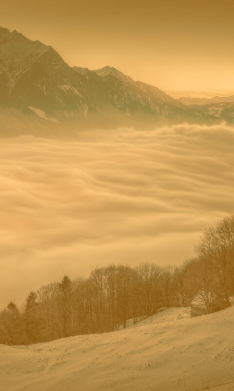 Туман в долине обои