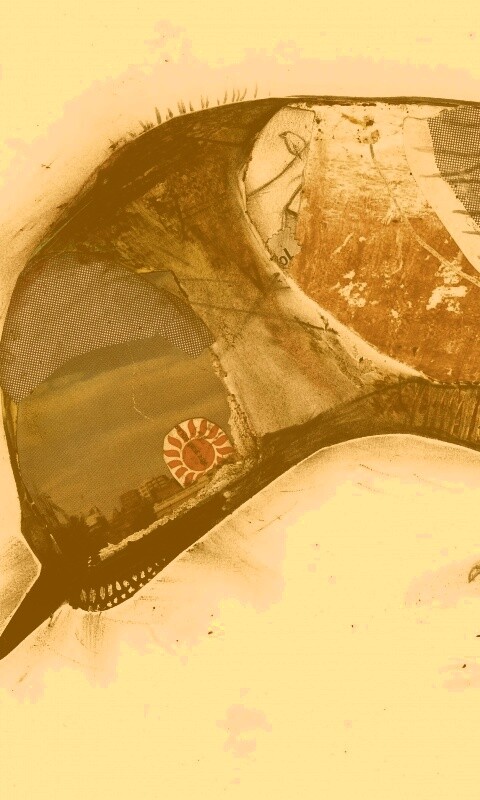 Аппликация Стефана Томпсона "Птица" обои