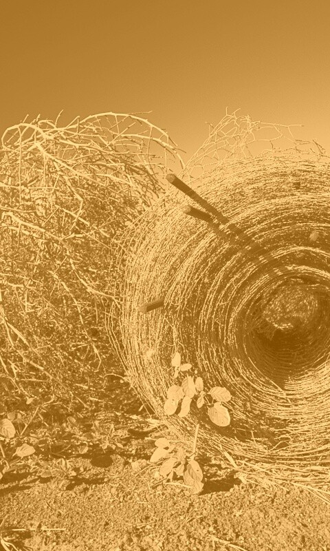 Клубок сена обои