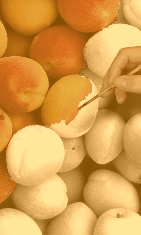 Крася абрикосы обои