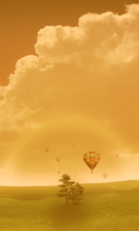 Мечты о полёте обои