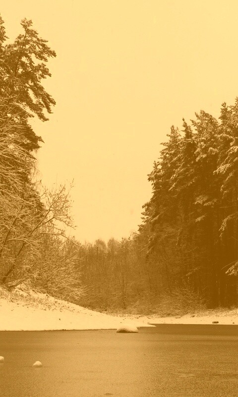 Зимняя дорога обои