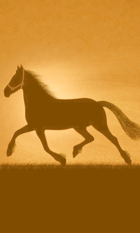 Силует коня на закате обои