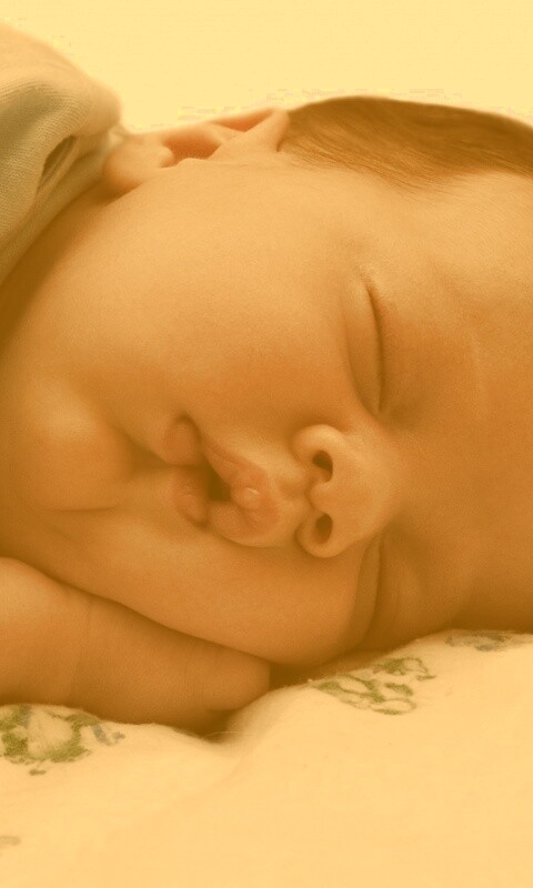 Спящая прелесть обои