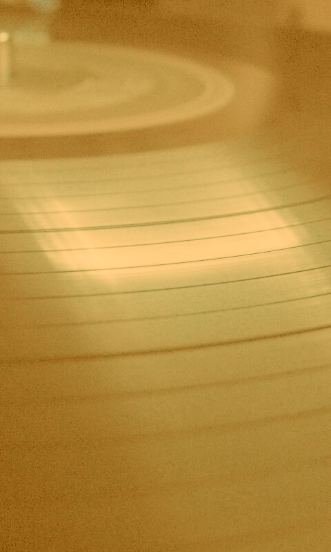 Пластинка обои