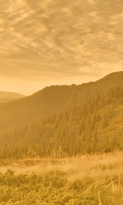 Предгорье обои