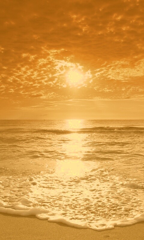 Берег моря в лучах заката обои