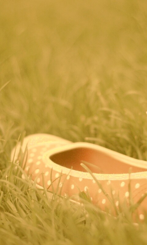 Красные тапки в горошек обои