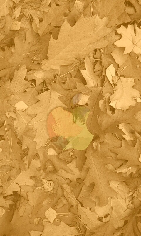 Яблоко в листьях обои